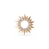 Solar Group Design 1 rose