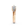 Diamond Hoop Rose (2)