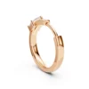 Diamond Hoop Rose (3)