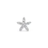 Star Flower White