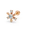 The Ring of The Diamond Star Rose