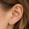 Lobe